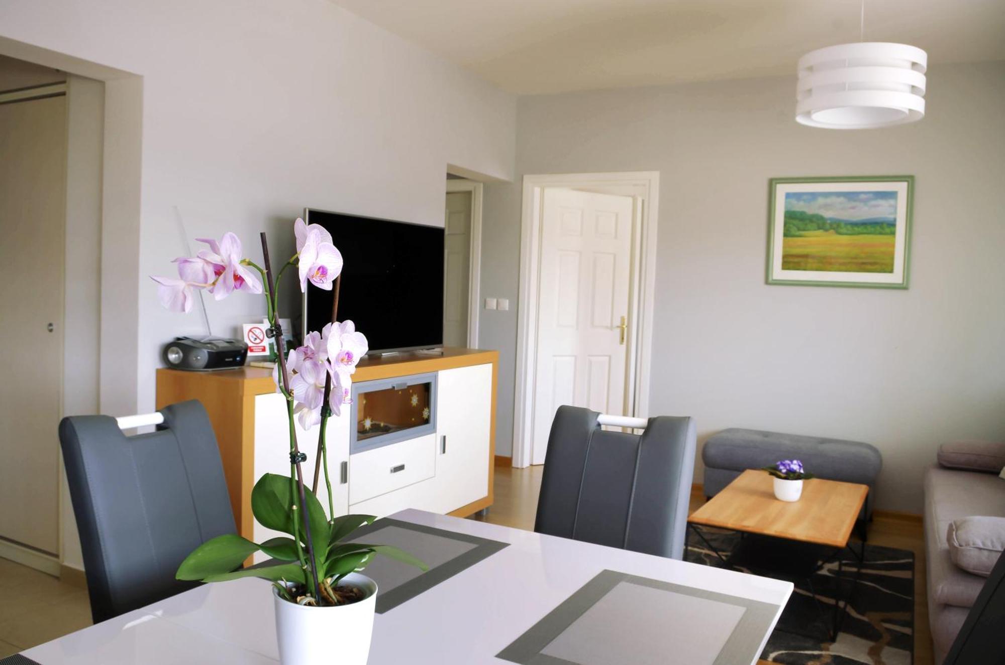 Apartman Dada Krapinske Toplice Eksteriør bilde